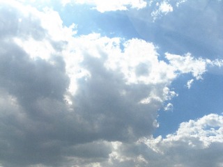 SAM_0222
