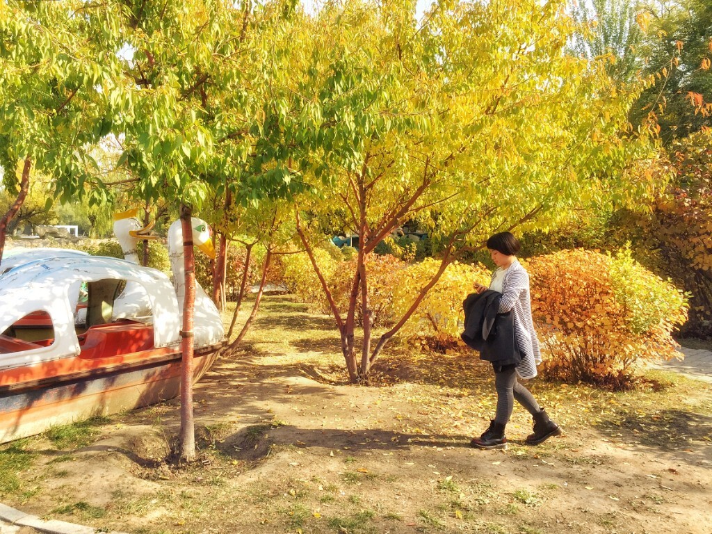 青城公园