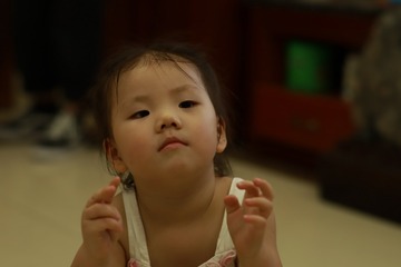 373646