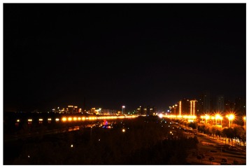 PA081980_1