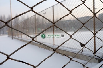 哈尔滨金融学院 (21)