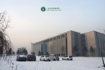 哈尔滨金融学院 (27)