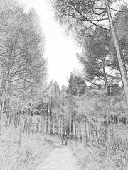 P9230824_副本.jpg