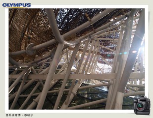 西瓜游世博1 (4).JPG