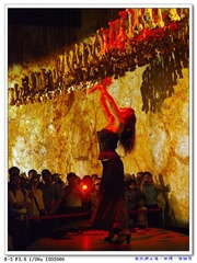 西瓜游世博1 (7).jpg