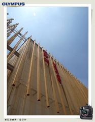 西瓜游世博1 (14).jpg