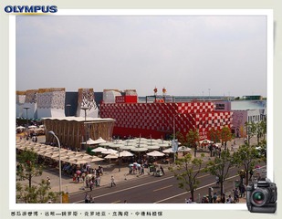西瓜游世博1 (39).jpg