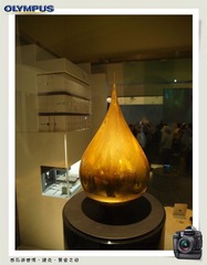 西瓜游世博1 (22).jpg