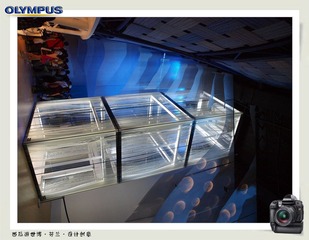 西瓜游世博1 (29).jpg