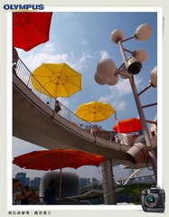 西瓜游世博1 (37).jpg
