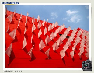 西瓜游世博1 (50).jpg