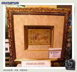 西瓜游世博1 (67).jpg