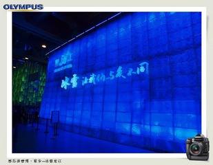 西瓜游世博1 (80).jpg
