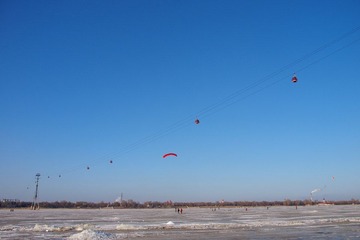 P1015989.jpg