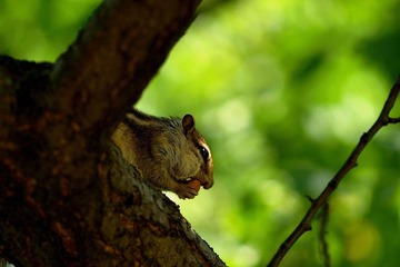 P7146102-4.jpg
