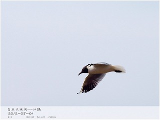 P5017673_副本.jpg