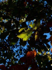 PA129731.jpg