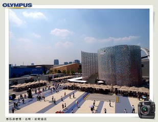 西瓜游世博1 (32).jpg