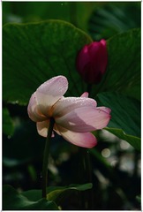 P7114194_