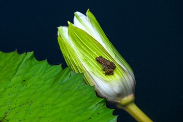 P3260385