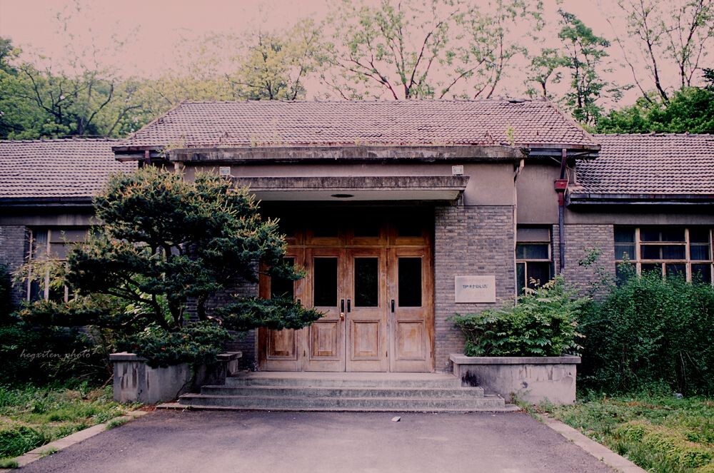 NIKON F4s + RDP3
