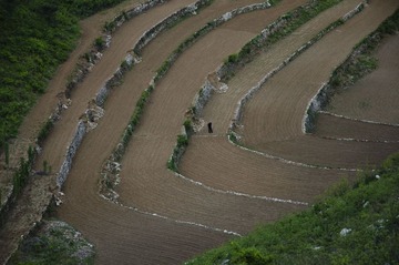 土地