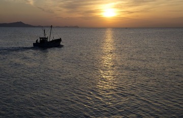 清晨出海