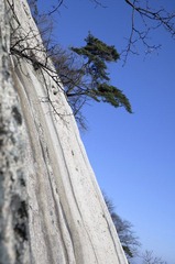 DSC_6851.jpg