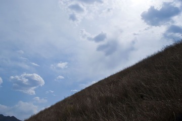 山坡