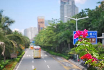 20110823游荡在华侨城-058