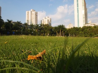 20130920  华侨城沃尔玛前绿地-027