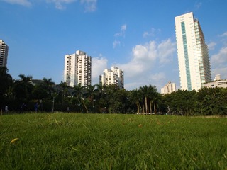 20130920  华侨城沃尔玛前绿地