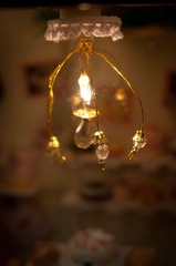 DSC_3143.jpg