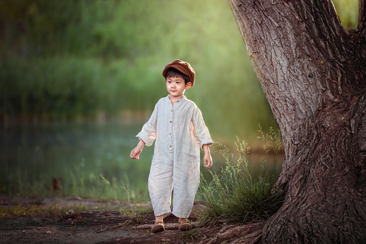 唯美油画风男孩#草坪大树木树夕阳光影公园意境#欧美风还没有人打赏