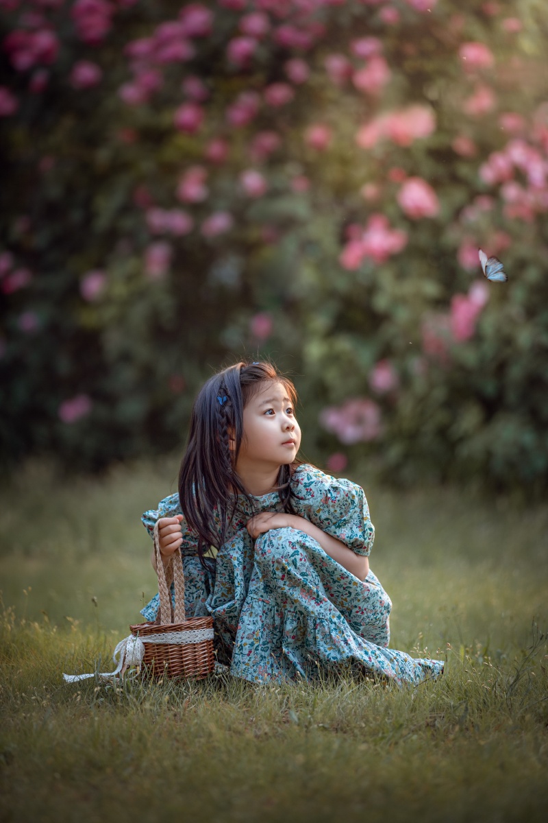 蔷薇花开夕阳下美丽的小女孩