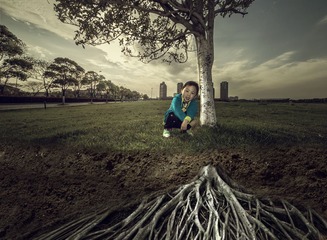 树妖