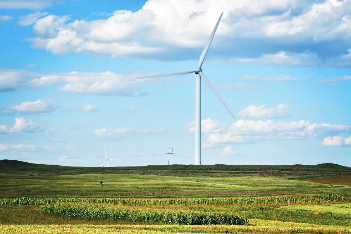 大风车吱呀吱悠悠的转这里的风景呀真好看