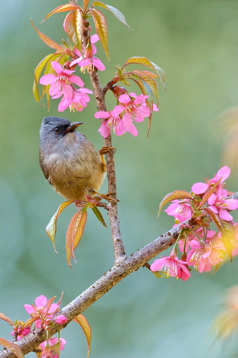 801_1200竖版 竖屏