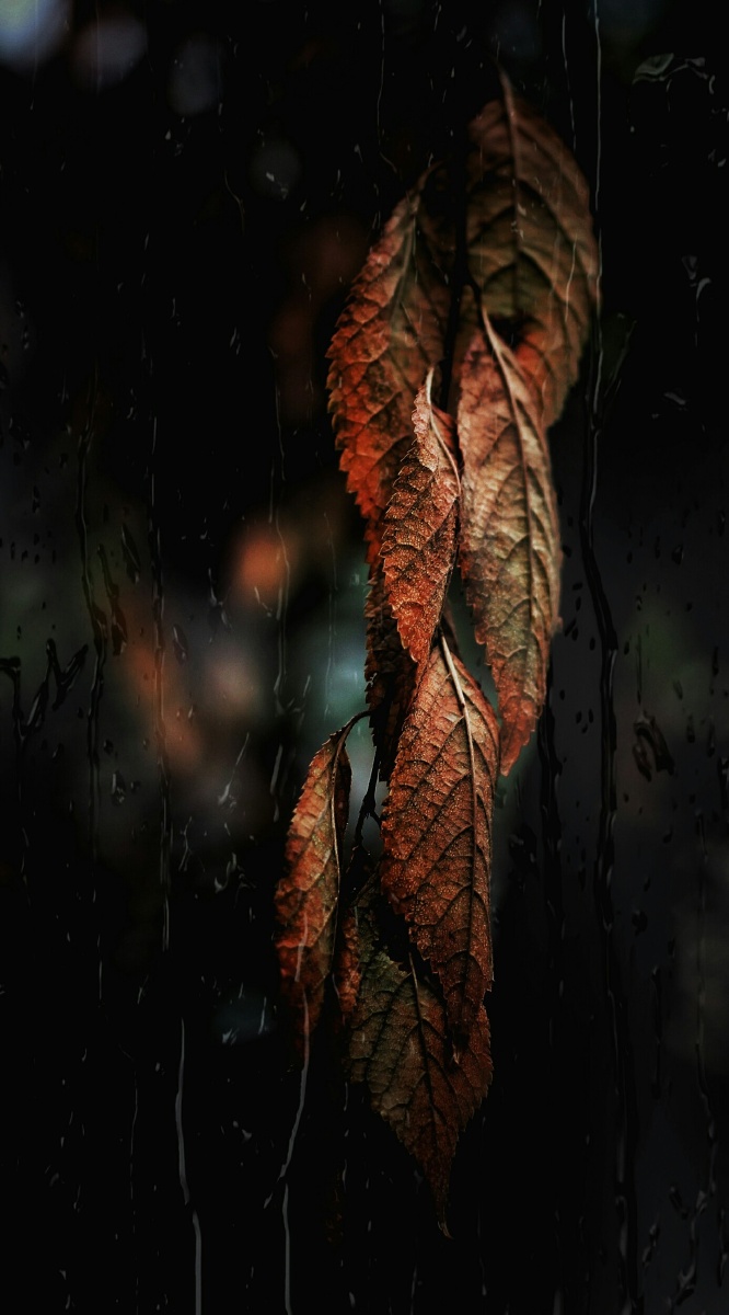 一场秋雨一场寒