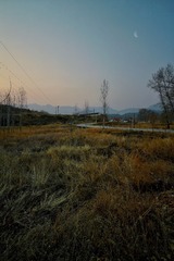 8E706807-C208-4075-AD31-92473EF0F0F2/L0/001