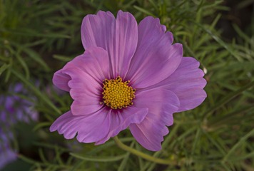 07