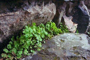 DSCF0075(1