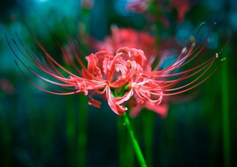 _DSC1220