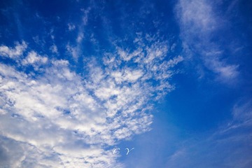 _DSC0791
