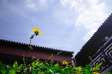 _DSC1679