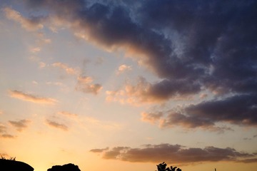 _DSC1701