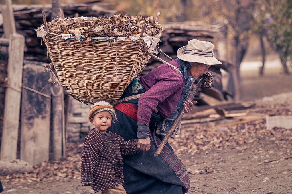 老奶奶手牵孙子背着较轻的一篓树叶匆匆路过。