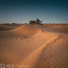 _T6A3285-1（大图）