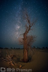 _T6A3362-1（大图）