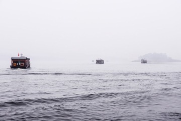 XAX_0509